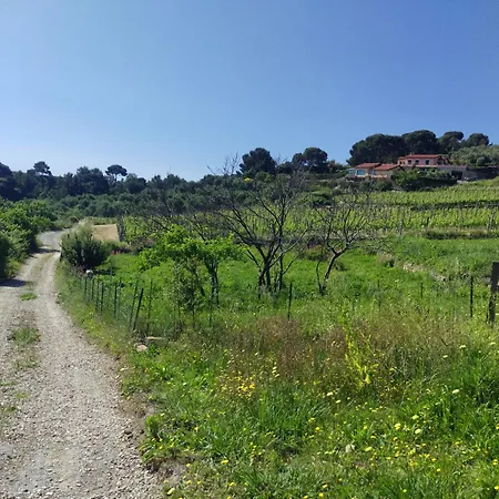 Perla Sul Mare Con Piscina * San Lorenzo al Mare