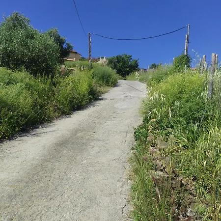 Perla Sul Mare Con Piscina Daire San Lorenzo al Mare
