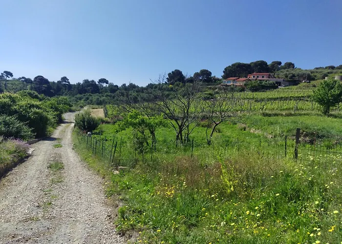 Perla Sul Mare Con Piscina * San Lorenzo al Mare